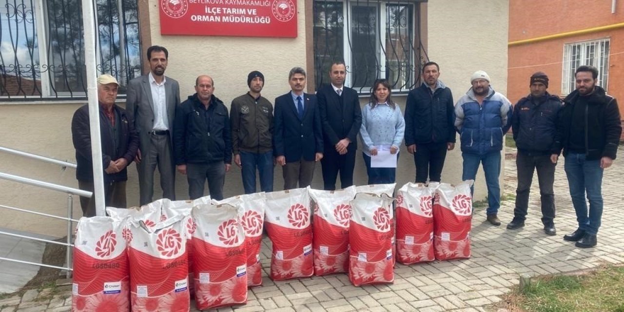 Beylikova Çiftçisine Ayçiçeği Tohum Desteği