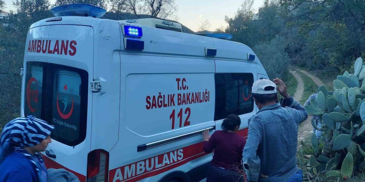 Badem Ağacından Düşen Adam Ağır Yaralandı