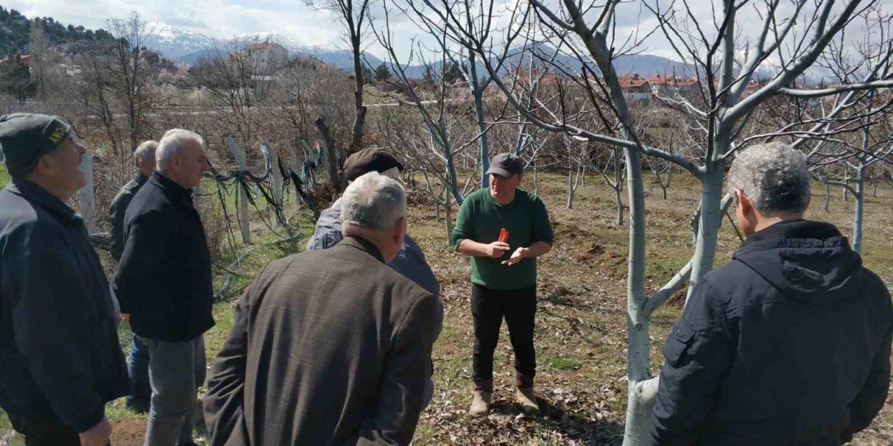 Beyşehir’de Üreticilere Uygulamalı Ağaç Bakımı Eğitimi