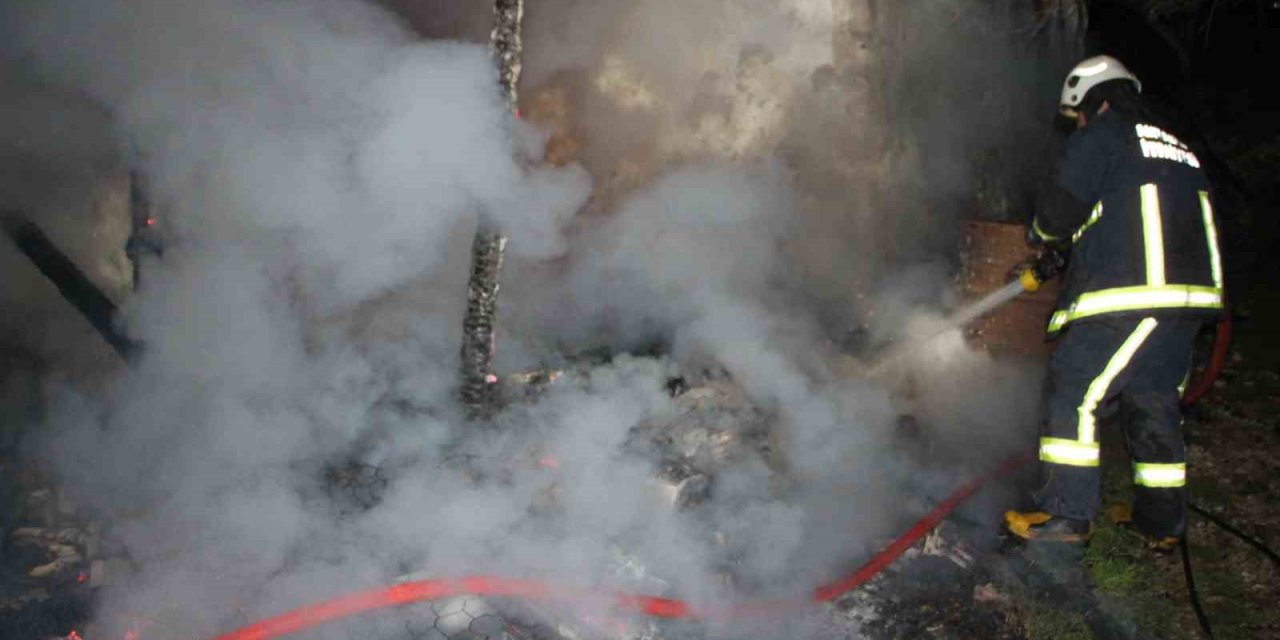 Anne Kızın Yaşadığı Ev, Çıkan Yangında Küle Döndü