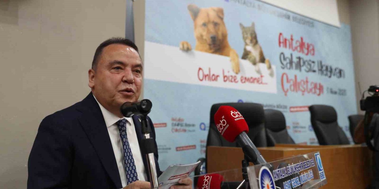 Başkan Böcek: “sokak Hayvanlarına Desteğimiz Sürecek”