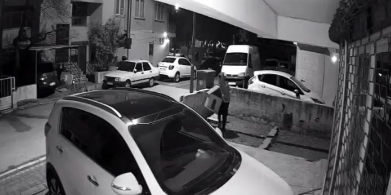 Sokakta Gözüne Kestitirdiği Kedi Kulübesini Kucakladığı Gibi Kaçtı