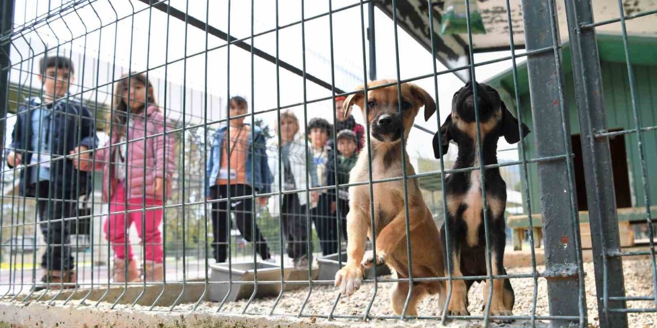 Miniklerden Anlamlı Ziyaret