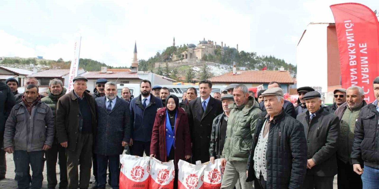 Seyitgazi’de 3 Bin 240 Dekar Tarla Ayçiçeği İle Renklenecek