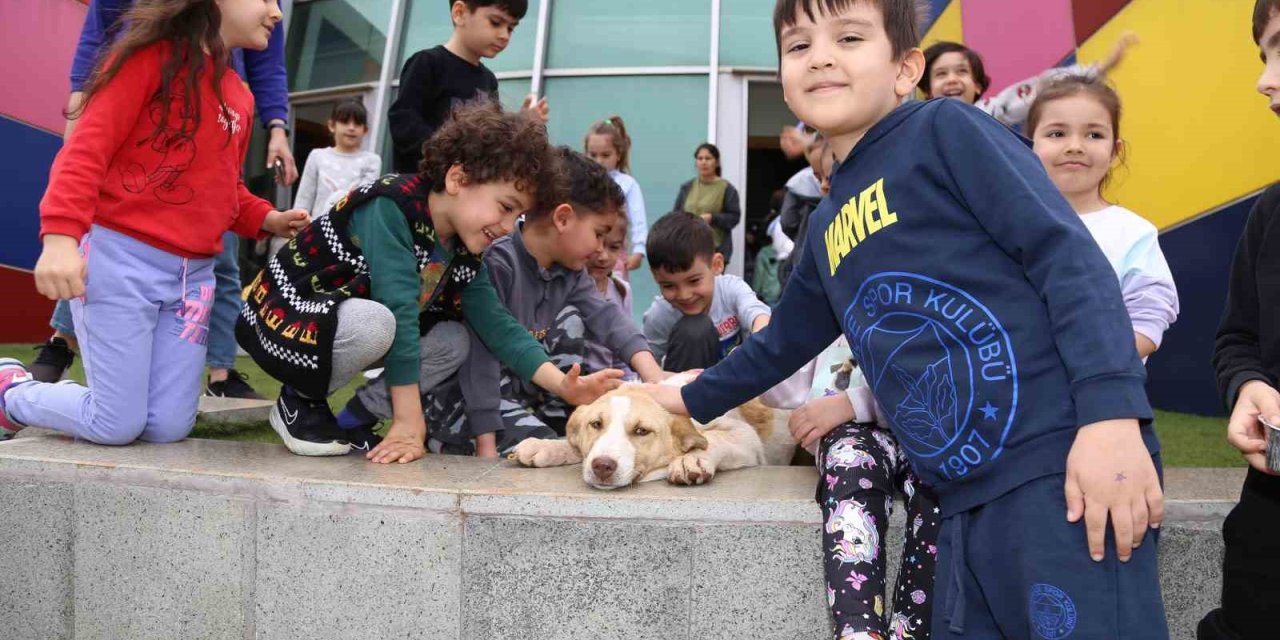 Minikler Hayvanlar İçin Geri Dönüşüm Malzemelerinden Mama Kapları Yaptı