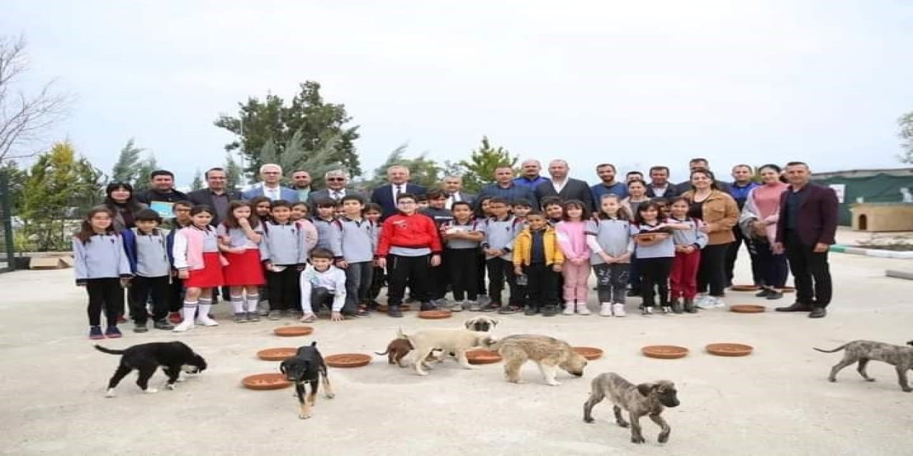 Serik’te Sokak Hayvanları Unutulmadı