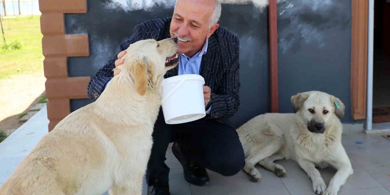 Akdeniz’de Can Dostlara Özel Etkinlik