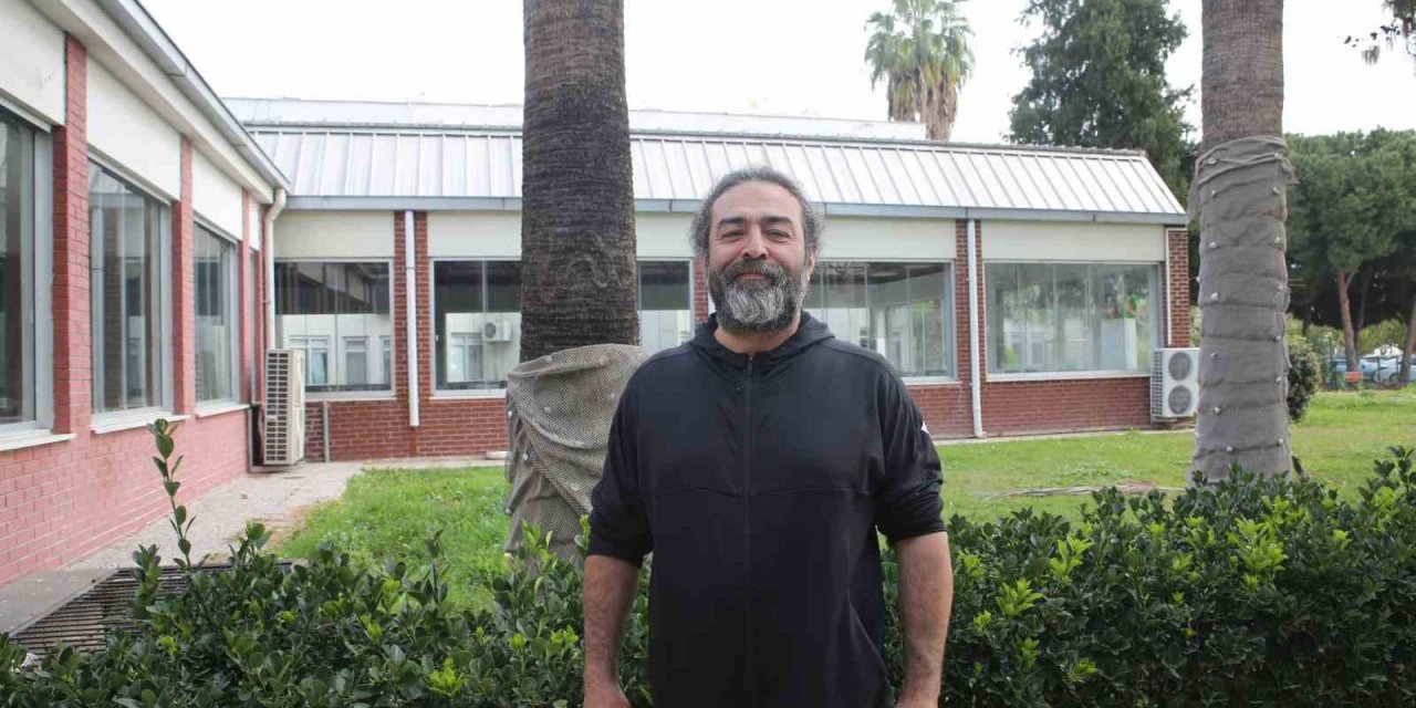 Akdeniz Fokları Mersin Sahillerinde Kendini Gösterdi