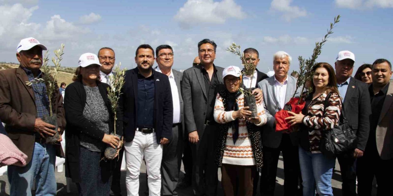 Mersin’de Üreticilere 11 Bin 100 Adet Zeytin Fidanı Desteği Sağlandı