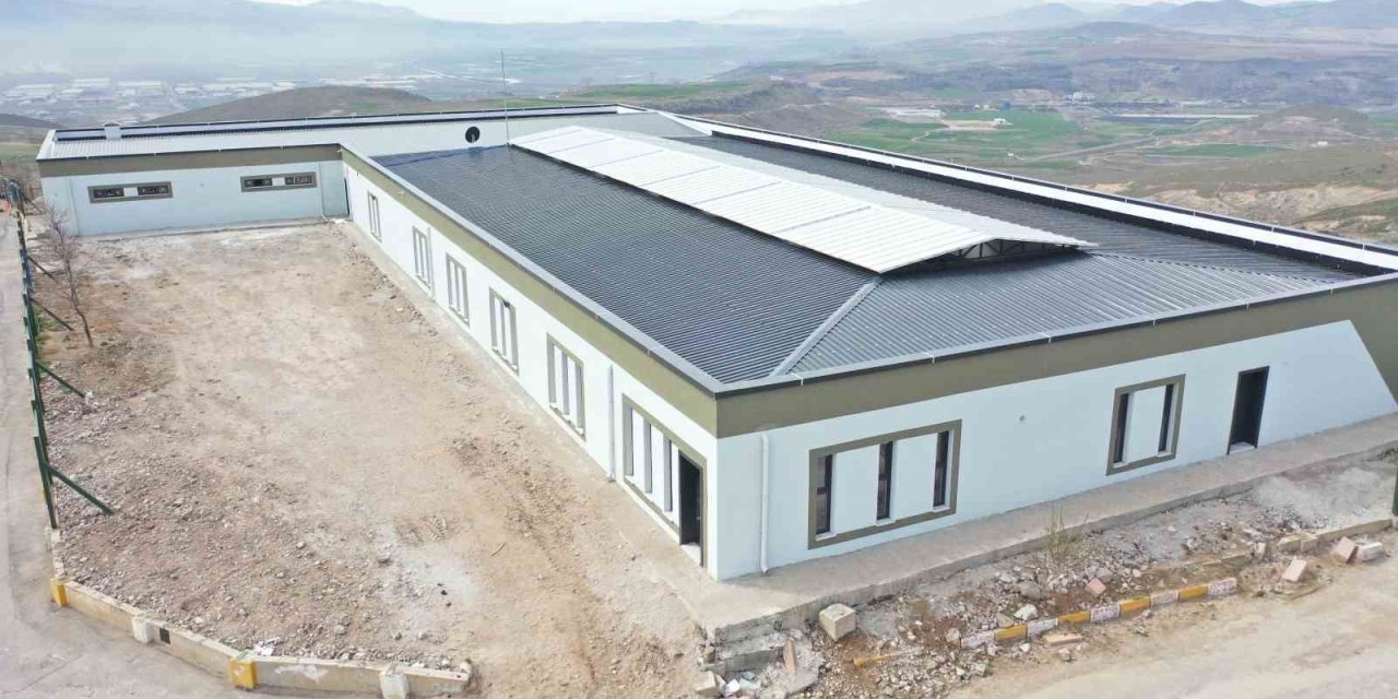 Büyükşehirden Yeni Ve Modern Kedi Köpek Evi