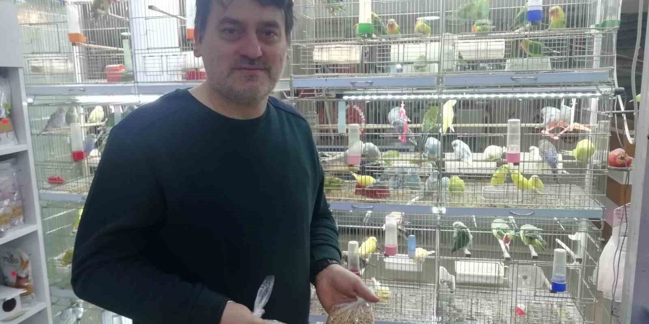 Petshopçuların Oda Talebi