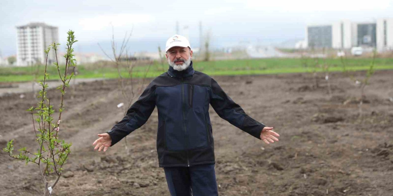 Başkan Çolakbayrakdar’dan Kayseri’de Yine İlk Olan Meyve Bahçeli Park Projesi