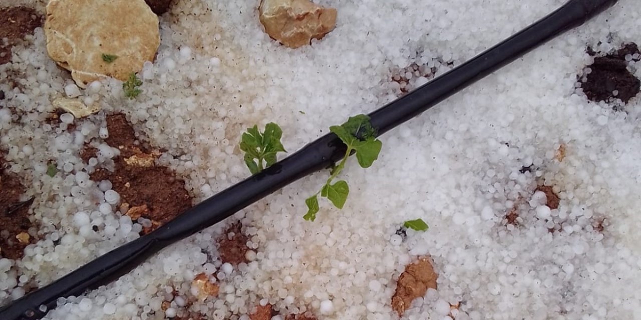 Mersin’de Dolu Yağışı Etkili Oldu