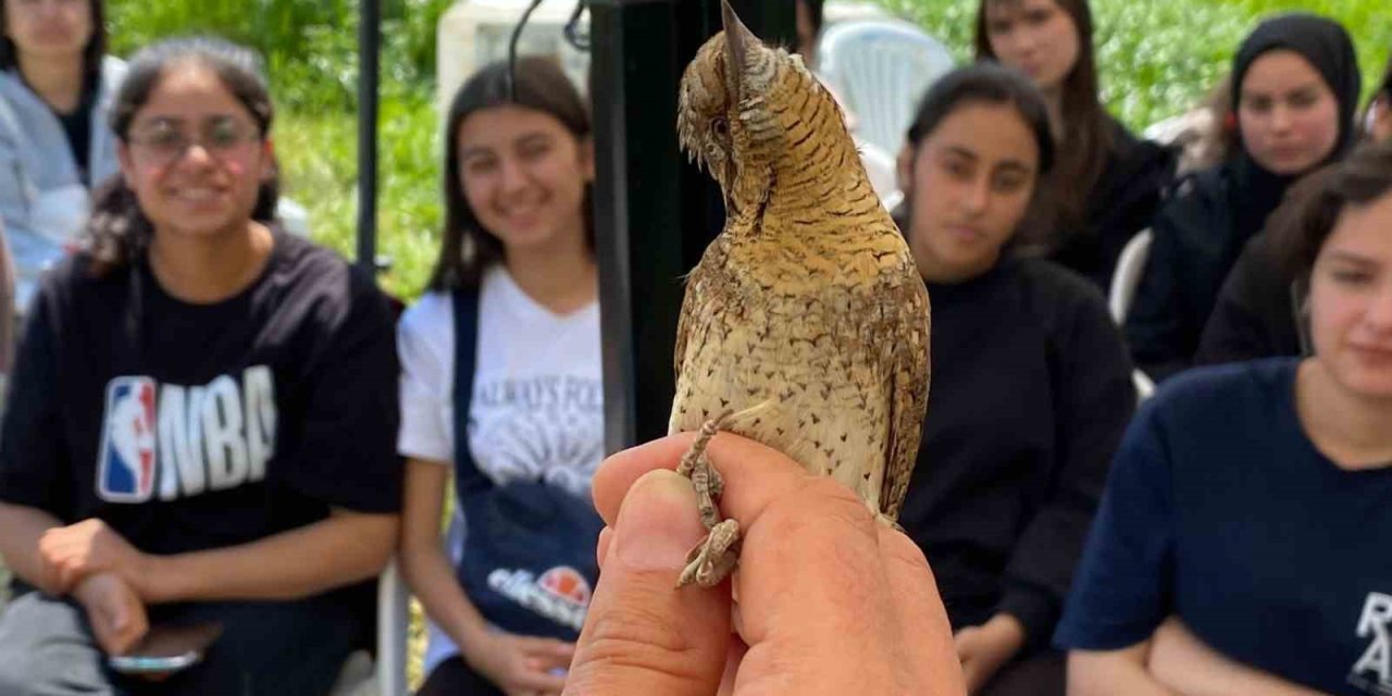 Estonya’dan Göç Ediyordu, Türkiye’de İlk Kez Yakalandı