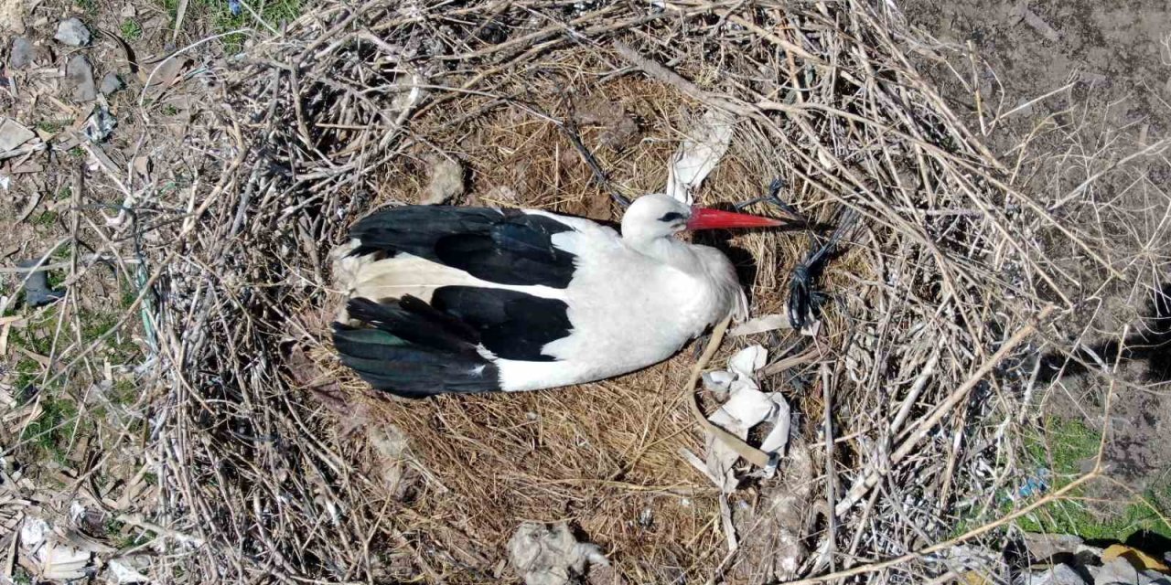 Kayseri’deki Yuvalarına Yerleşen Leylekler Havadan Görüntülendi