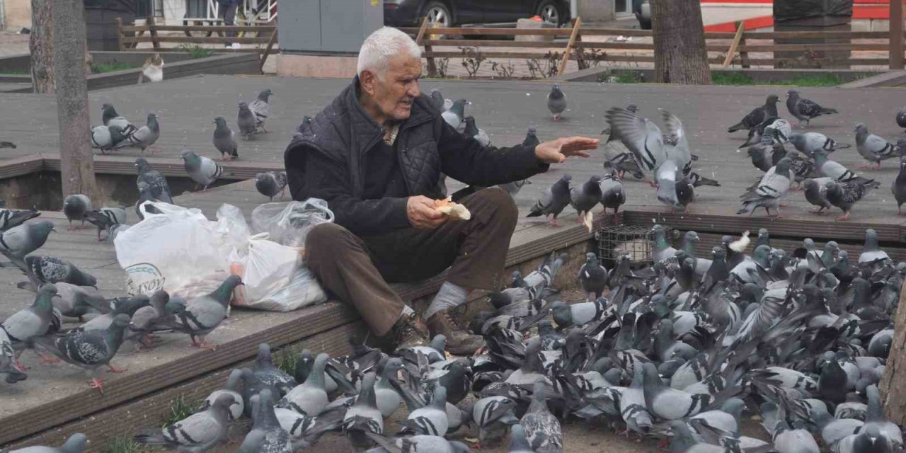 15 Senedir Her Gün Kuşları Besliyor