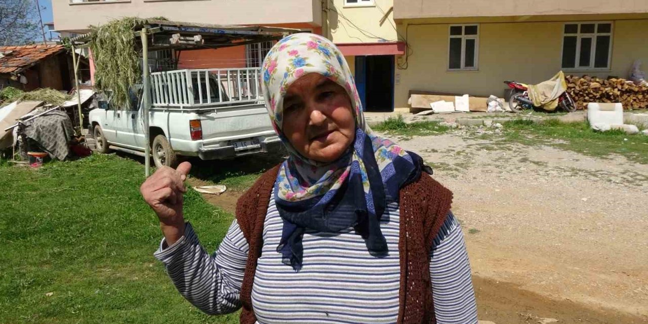 Ev Sahibinin Üzerine Yürüdüğü Anları Cep Telefonuyla Kaydeden Kadın Şikayetçi Oldu