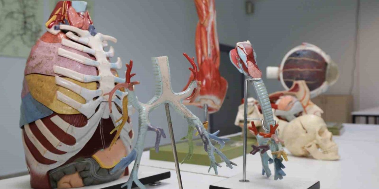 Deprem Bölgesindeki Tıp Fakültesi Öğrencileri Uygulamalı Eğitim Alıyor