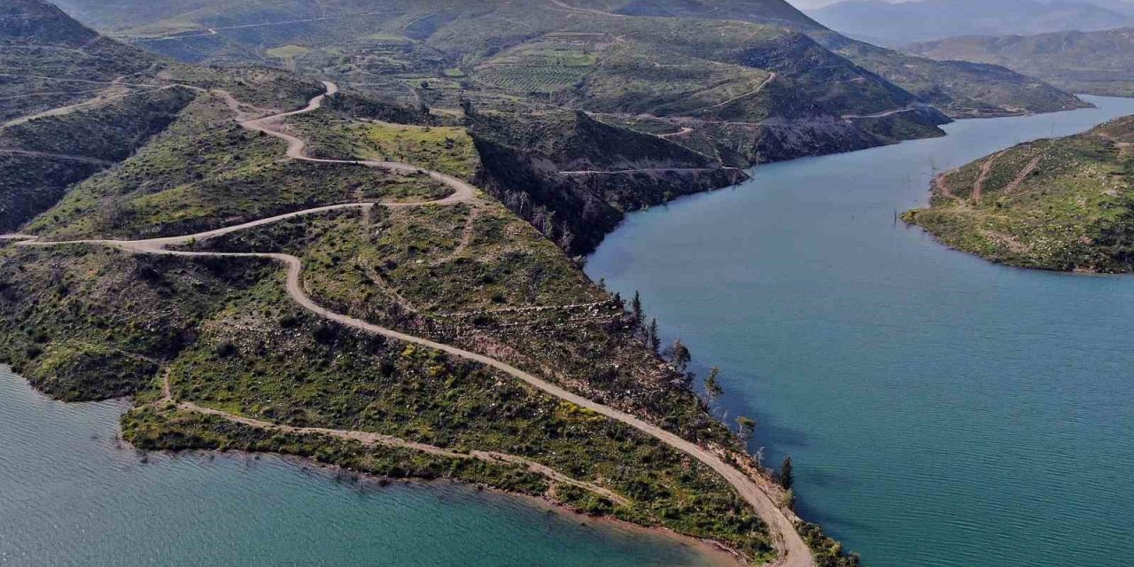Cumhuriyet Tarihinin En Büyük Yangından Sonra Griden Yeşile Dönüş