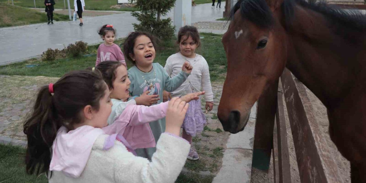 Ara Tatilde Hayvanat Bahçesine Yoğun İlgi