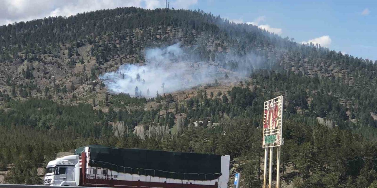 Konya’da Ormanlık Alanda Yangın Başladı