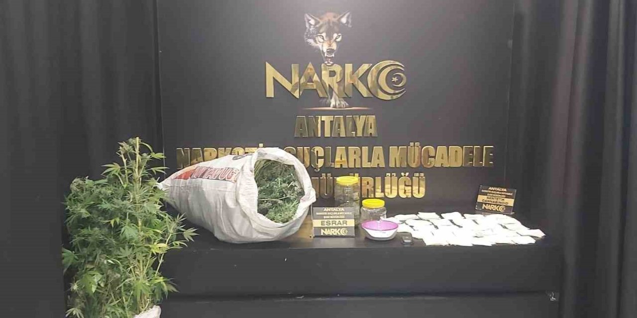 Uyuşturucu Yuvası Eve Baskında 67 Kök Kenevir Ve 7 Kilo Esrar Ele Geçirildi