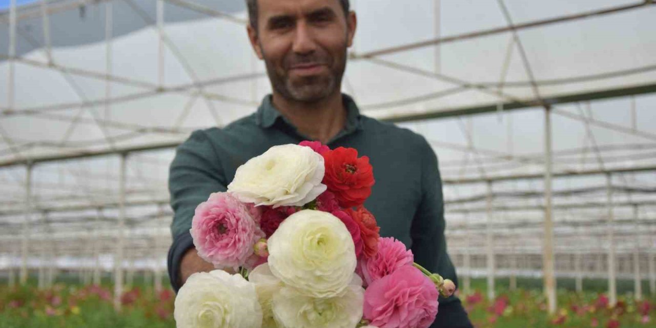 Türkiye’de Sadece Antalya’da Üretiliyor, Yüzde 90 Yurt Dışına İhraç Ediliyor