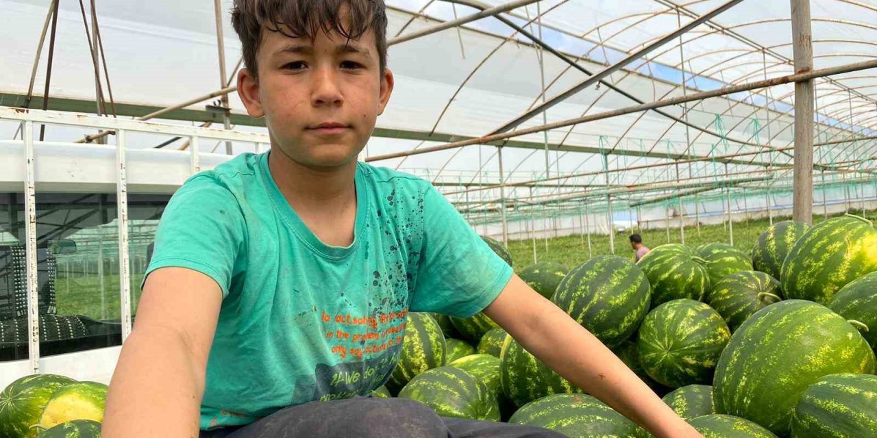 Yaşıtları Bayram Kutlarken, O Serada Aile Bütçesine Katkı Sağlıyor