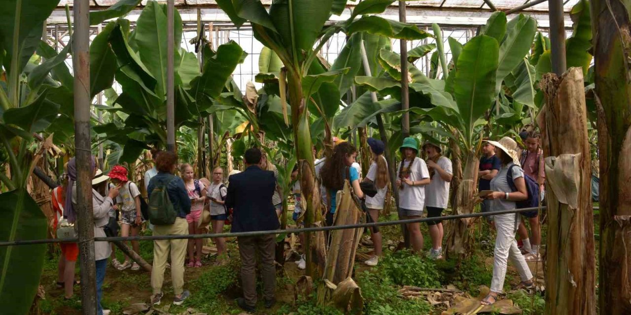 Alanya’da Kardeş Şehir Çocuklarına Tropikal Meyveler Tanıtıldı