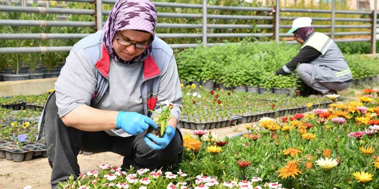 Tepebaşı Renk Renk