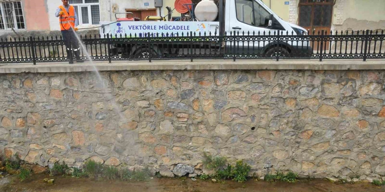 Akşehir Belediyesi’nden Simulium Sineğine Anında Müdahale