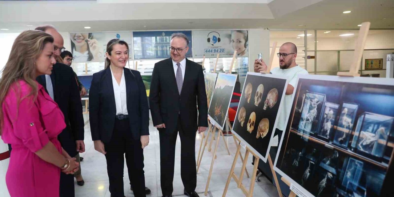 Büyükşehirde, “modern Fotoğrafta Bilim, Seyahat Ve Doğa” Sergisi