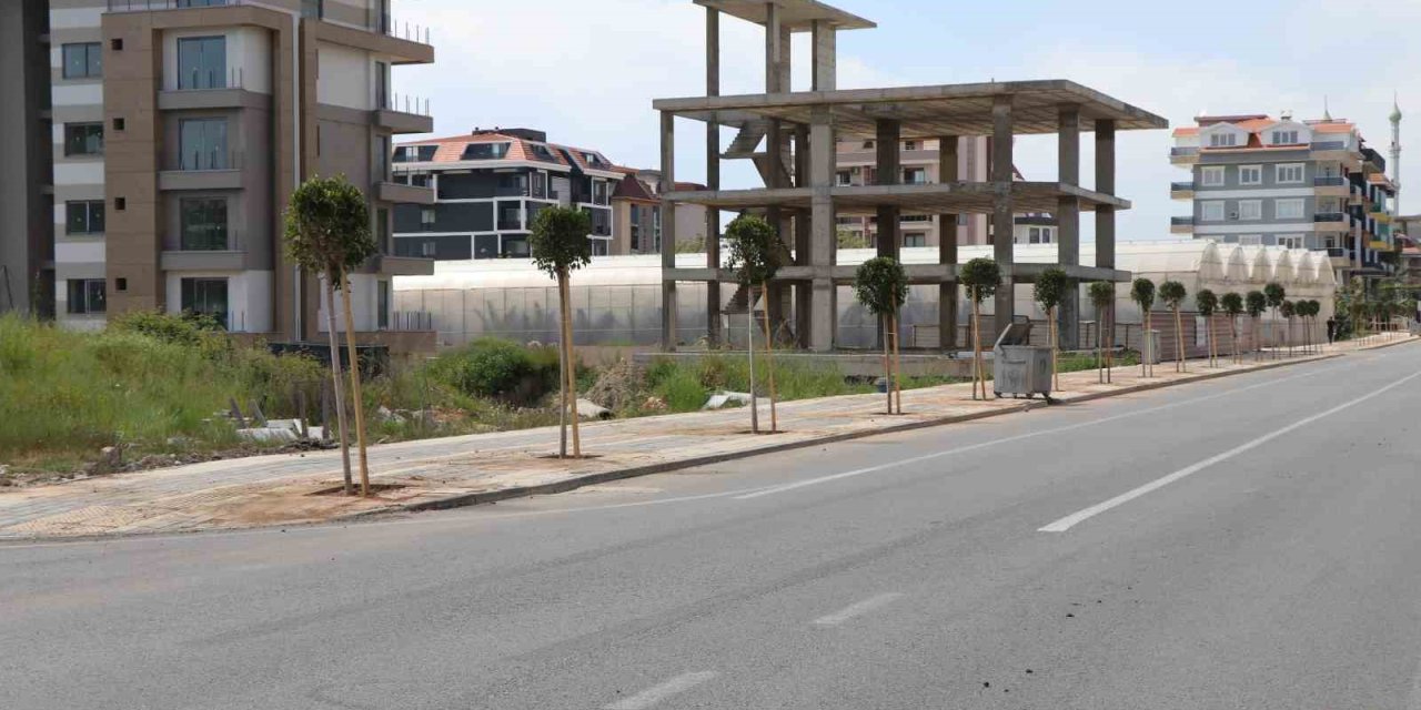 Alanya Belediyesinin Sezon Öncesi Peyzaj Çalışmaları