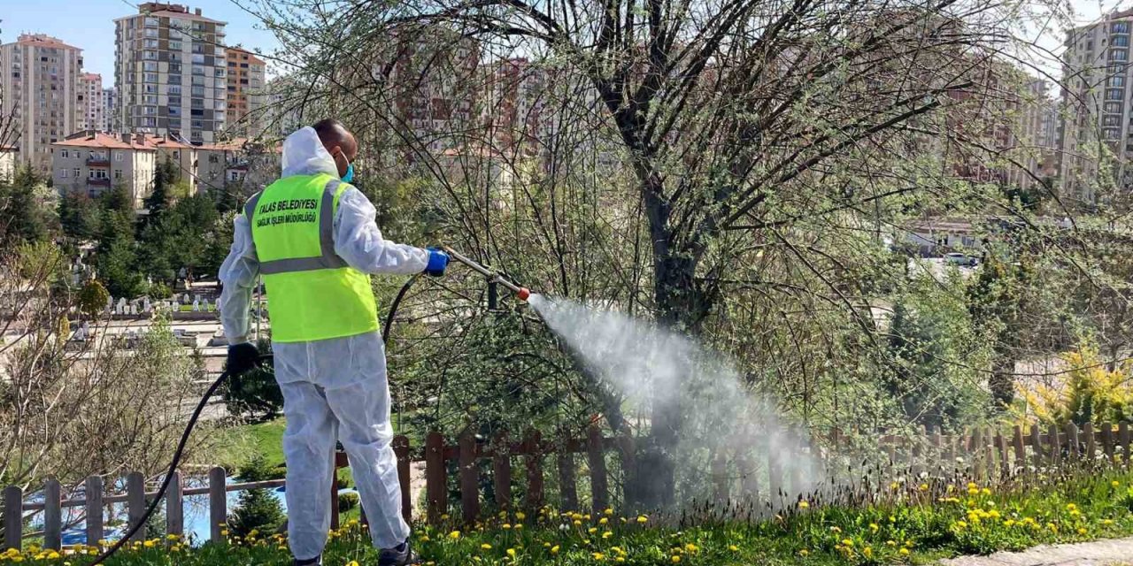 Talas’ta Sinek Ve Haşerata Erken Önlem
