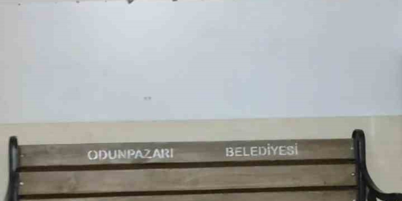 İddiaya Göre ‘aşk Acısı’ Sonucu Parktan Eve Bank Taşıyıp Gündem Oldular