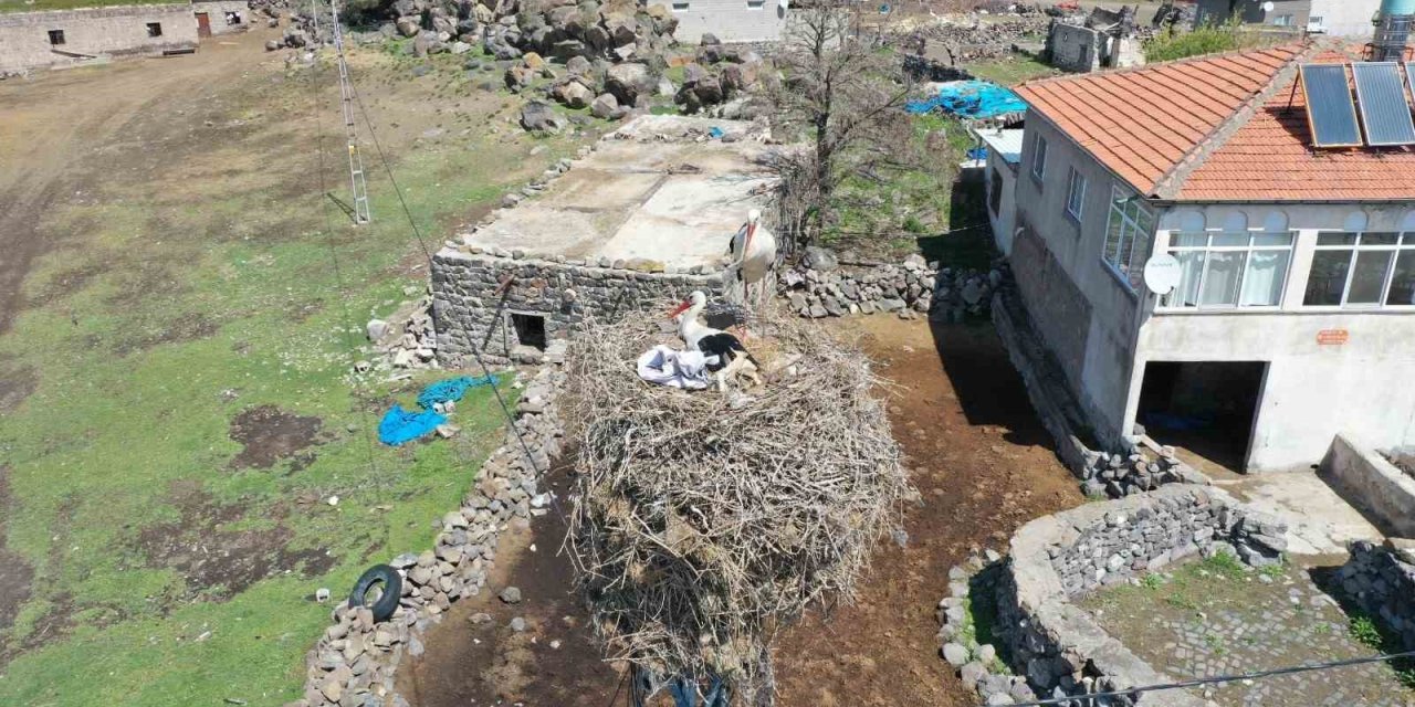 Göçmen Leylekler Hürmetçi Sazlığı’nda