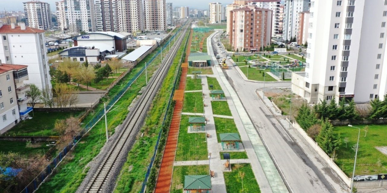 Küçük Dostlar Kedi Kasabası Açılıyor