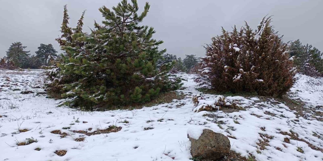 Nisan Ayında Yağan Kar Vatandaşı Şaşkına Çevirdi