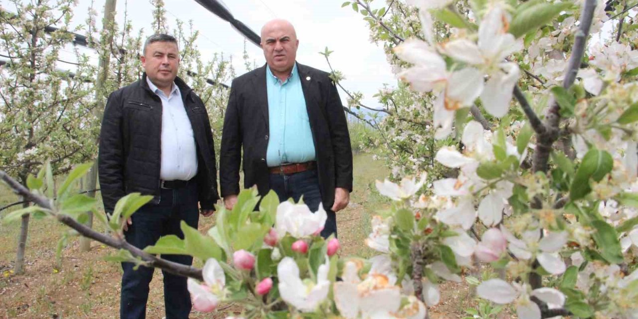 Karaman’da 12 Milyon Elma Ağacı Aynı Anda Çiçek Açtı