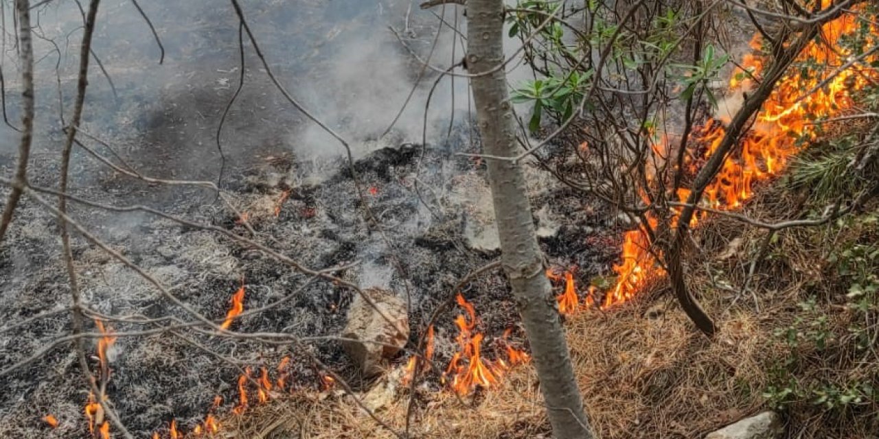 Ormanlık Alanda Çıkan Yangın Büyümeden Kontrol Altına Alındı