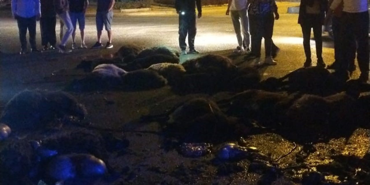 Sürüye Otomobil Çarptı, 20 Koyun Telef Oldu