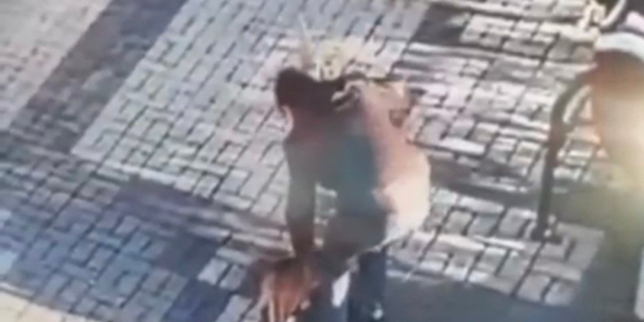 14 Yaşındaki Çocuk Kediyi Mala İle Dövdü