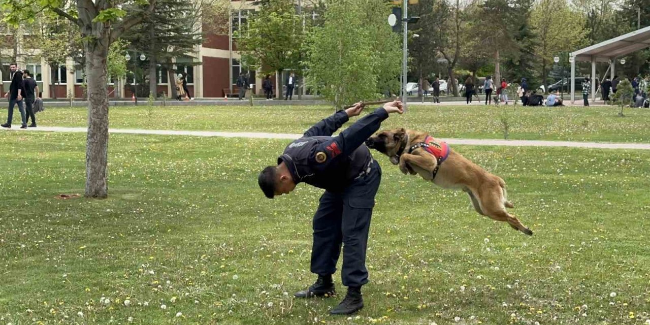 Jandarmanın Sevimli Kahramanları Fuarda Şovlarıyla İlgi Çekti