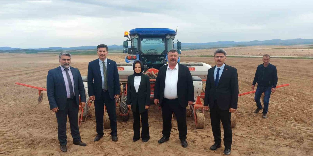 Beylikova’ya Ayçiçeği Ve Sorgum Tohum Desteği