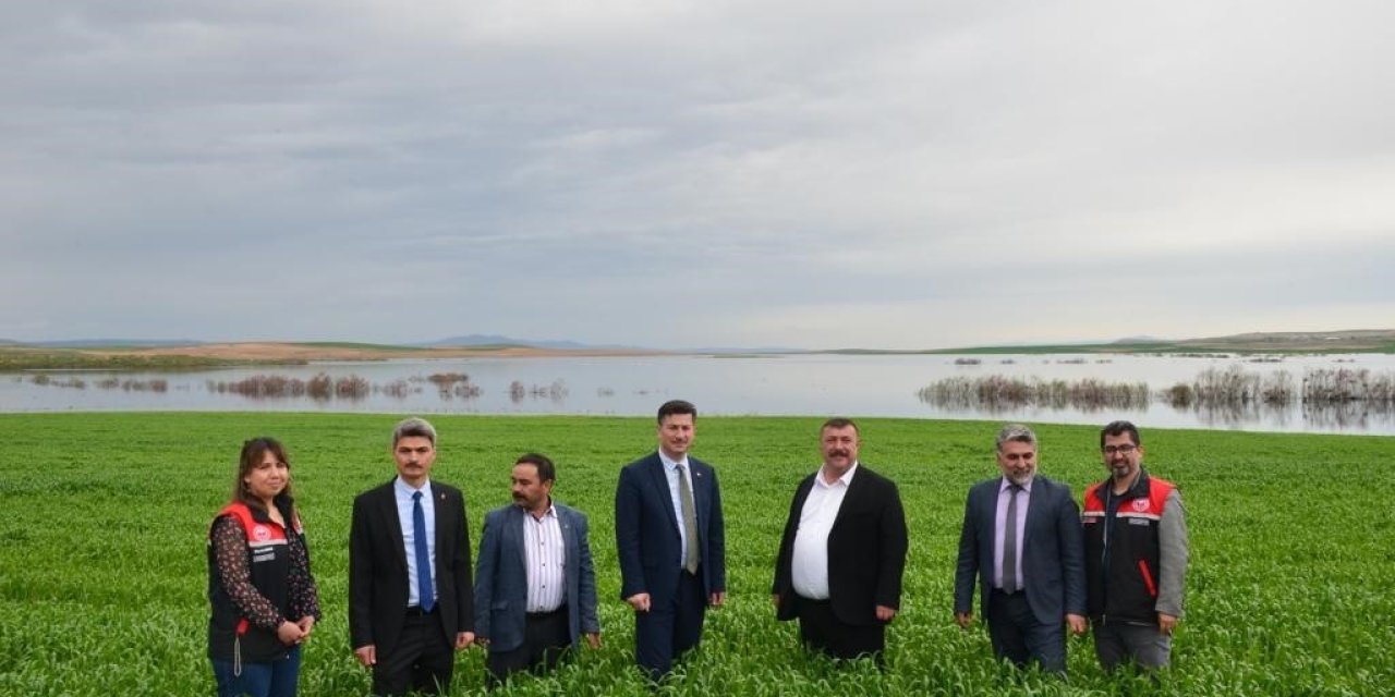 Beylikova Ayçiçeğinde Zirveye Oynuyor