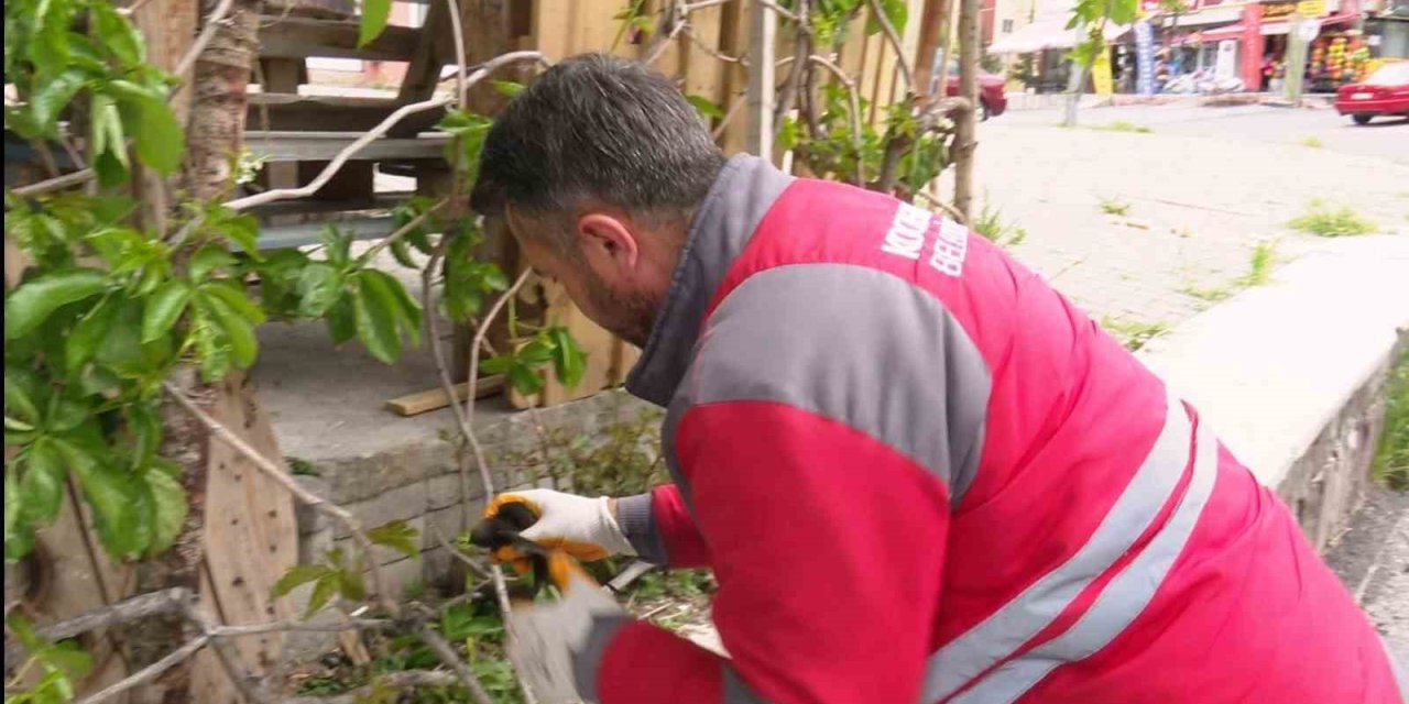 Yaralı Ebabil Kuşuna Kocasinan Belediyesi Sahip Çıktı