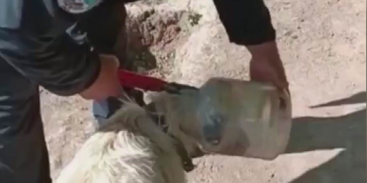 Kafası Bidona Sıkışan Köpeği İtfaiye Kurtardı