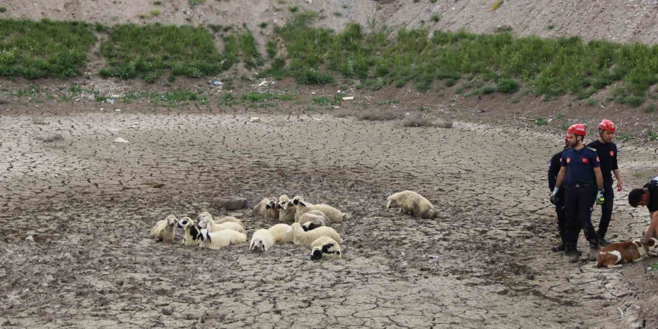 Büyükşehir İtfaiyesi’nden Bataklıkta 2 Saatlik Koyun Kurtarma Operasyonu