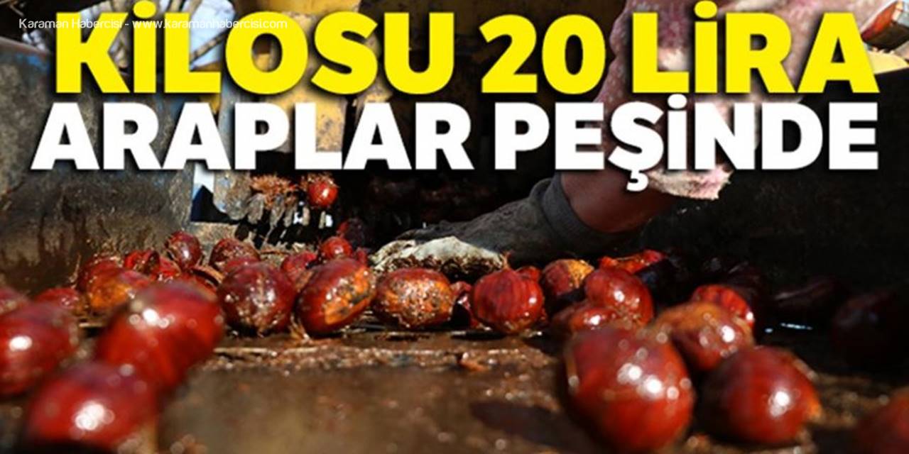 Denizli'nin Bin Rakımlı Köyünden Arap Ülkelerine Kestane İhracatı