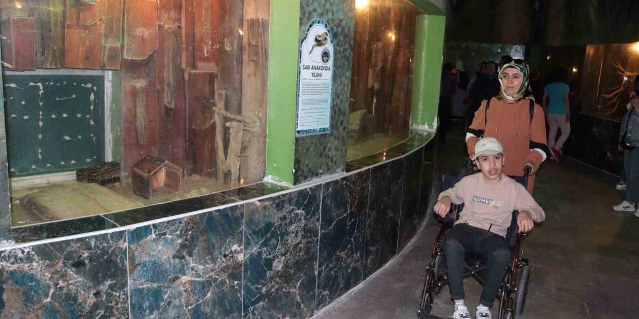 Özel Çocuklar Hayvanat Bahçesini Gezdi, Eğlenceli Vakit Geçirdi